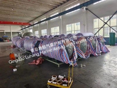 Προσαρμοσμένο φτερό γεμάτο αφρό που αποστέλλεται στη Σιγκαπούρη